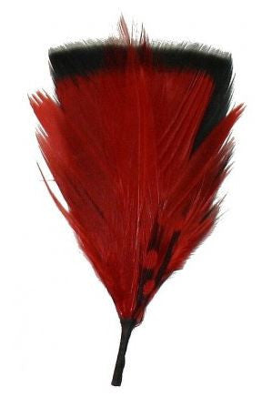 Feather Red, Maintenance - LEVINE HAT CO, Levine Hat Co. - 1
